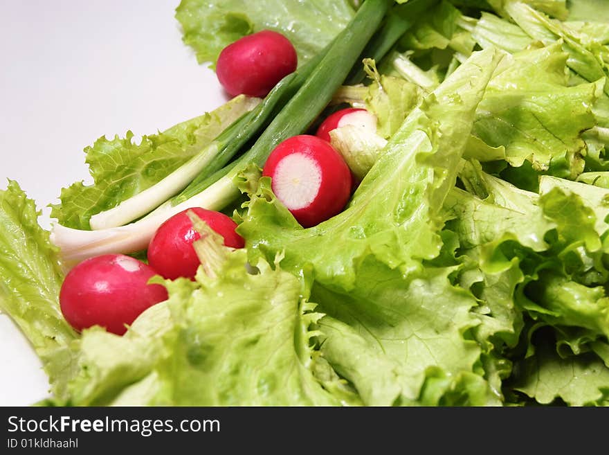 Fresh Spring Vegetables