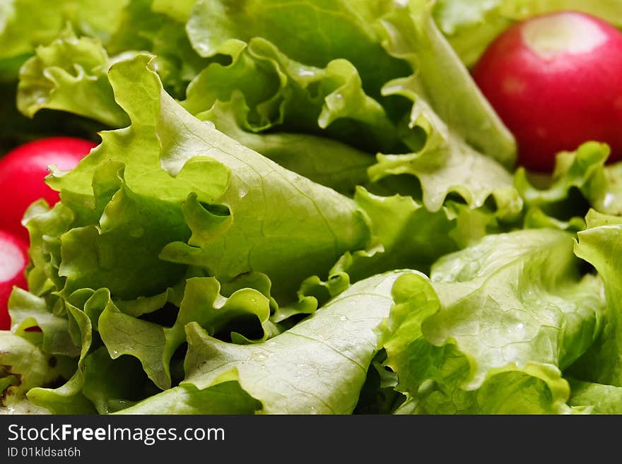 Fresh Spring Vegetables