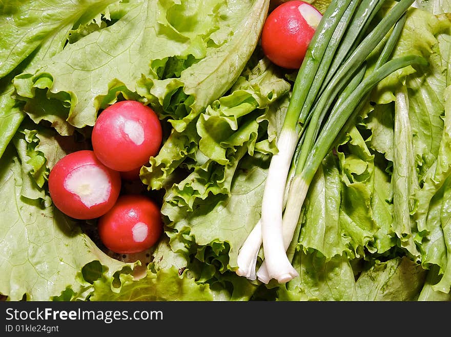 Fresh Spring Vegetables