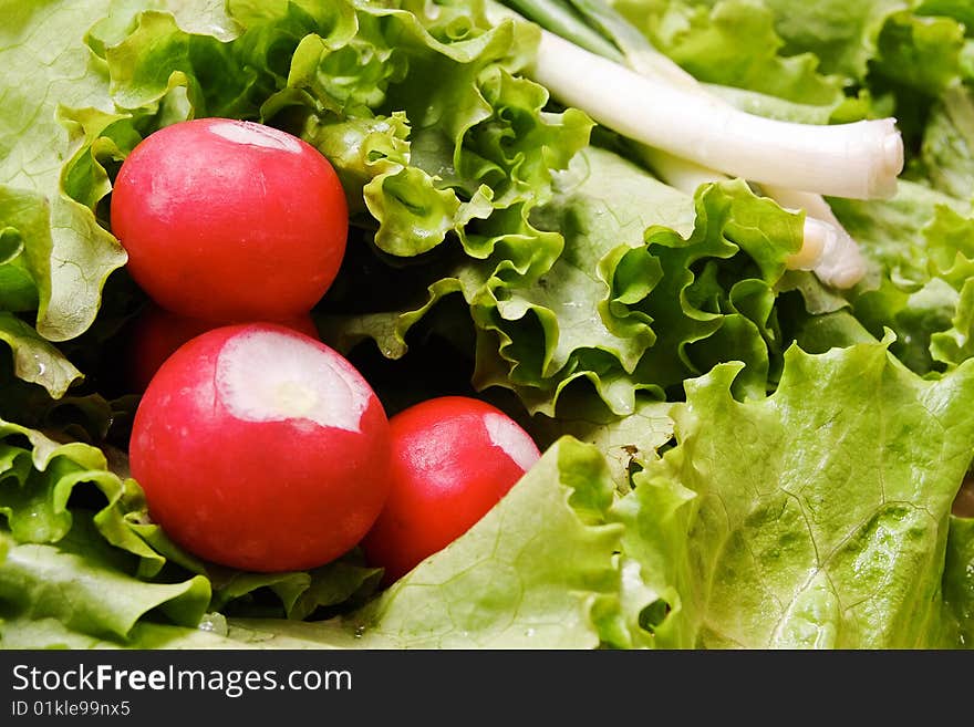 Fresh Spring Vegetables