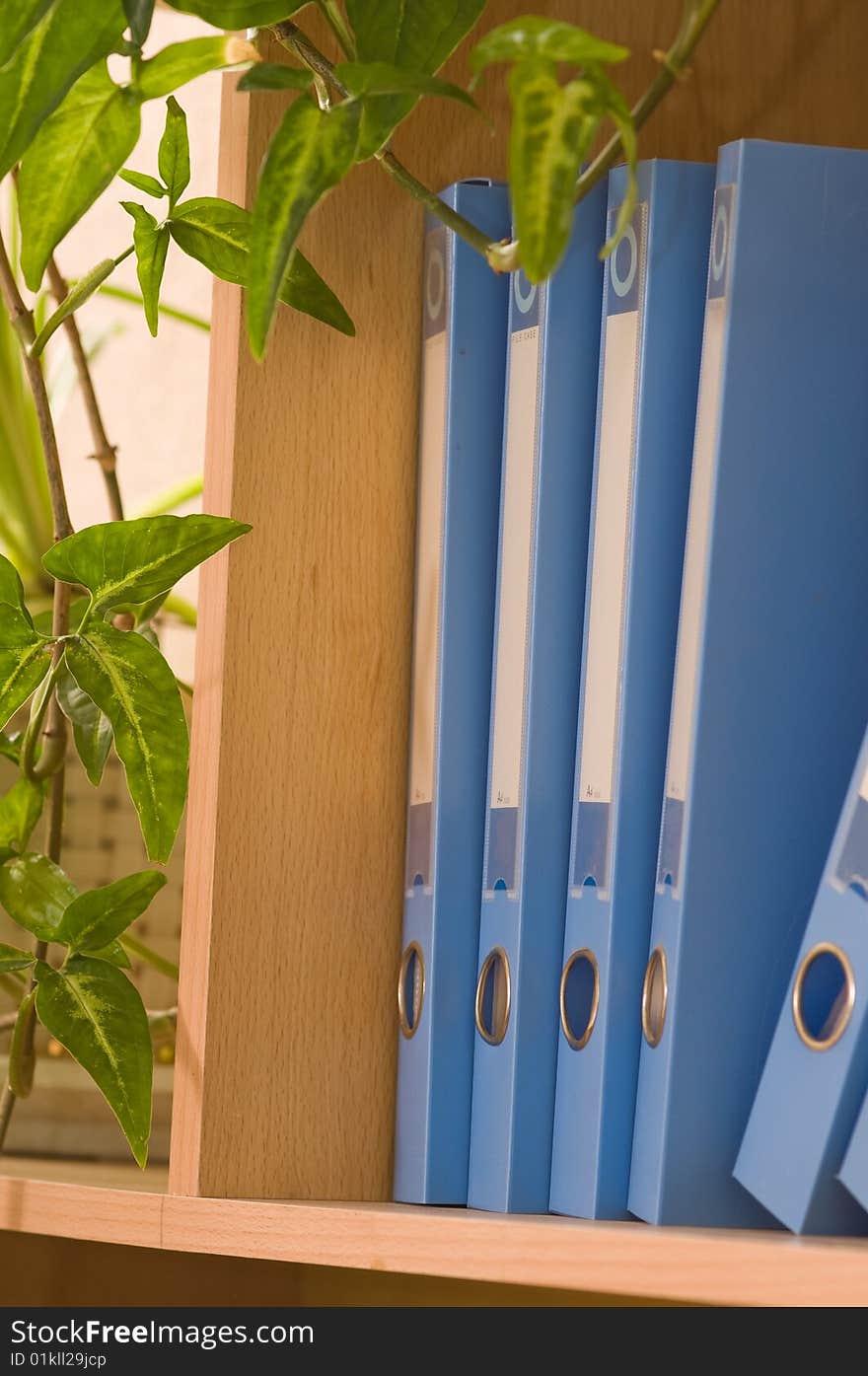 Blue plastic folders are stored(kept) on a wooden shelf in an indoor plant environment. Blue plastic folders are stored(kept) on a wooden shelf in an indoor plant environment.