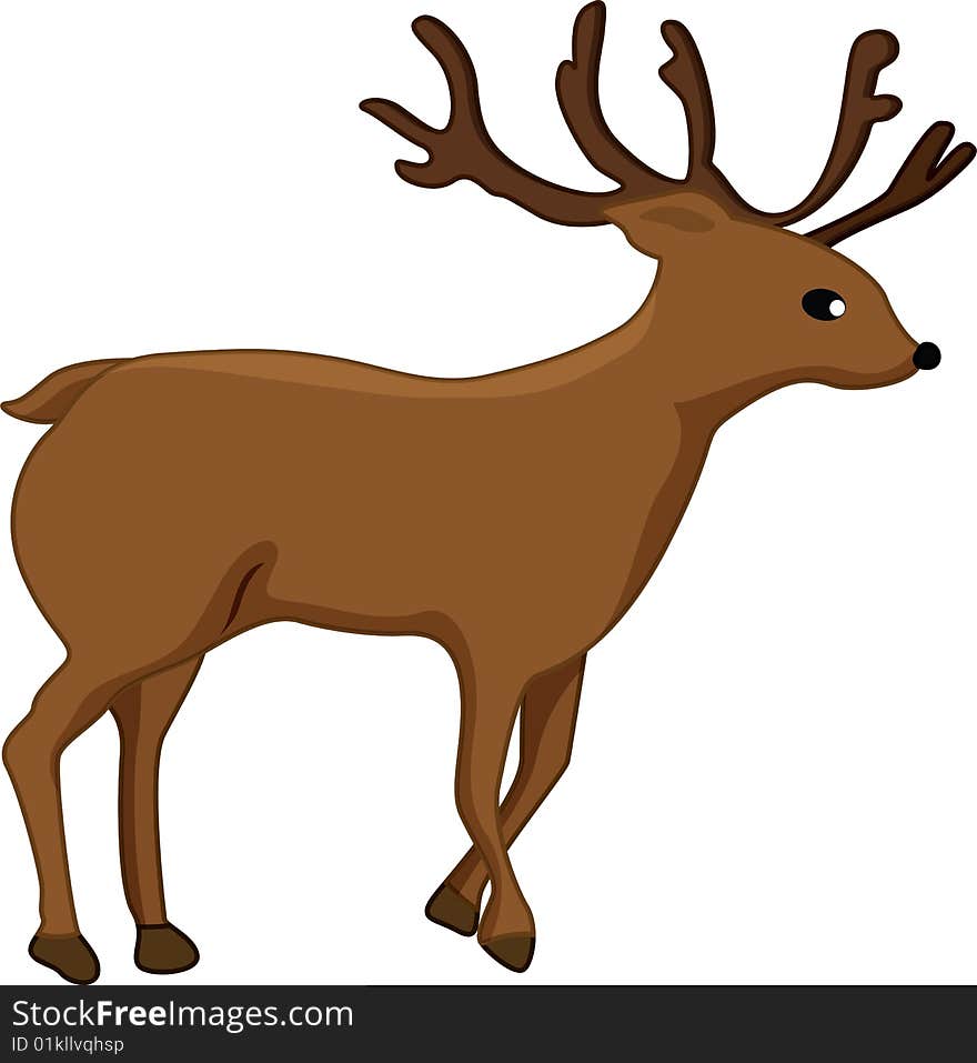 Deer