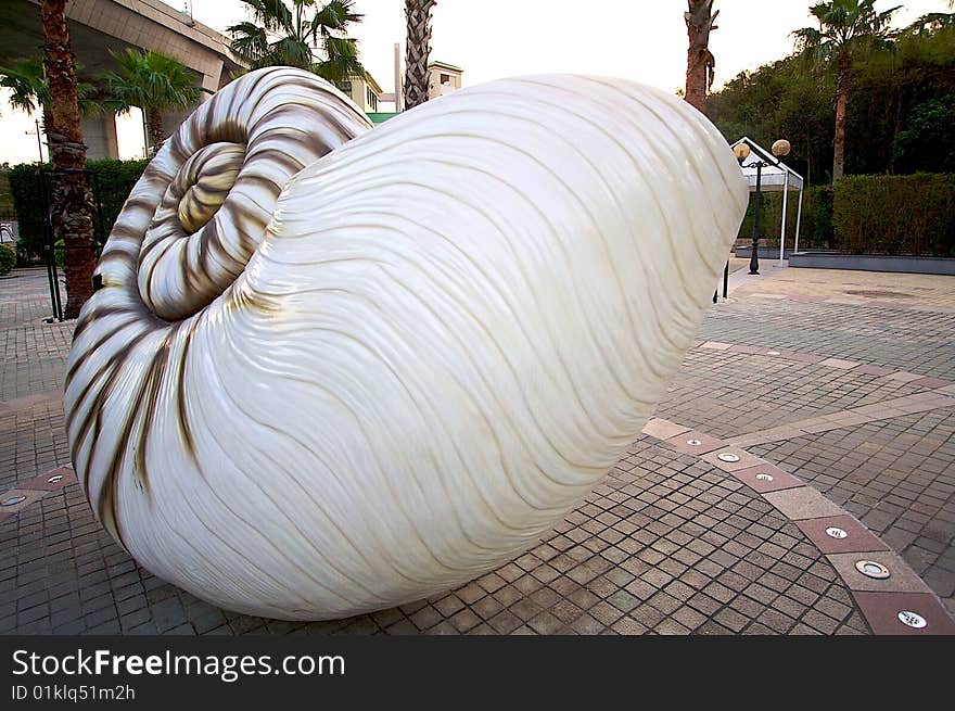 Hong Kong Ma Wan Park Spiral shells