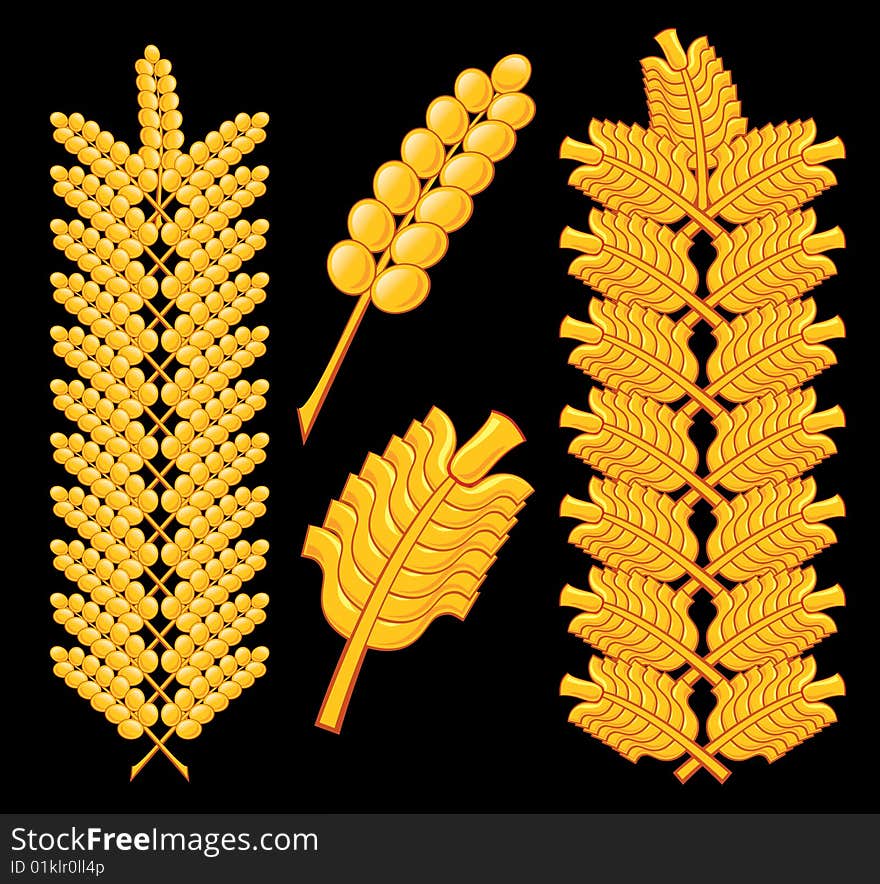 Abstract picture of gold wheat. Abstract picture of gold wheat