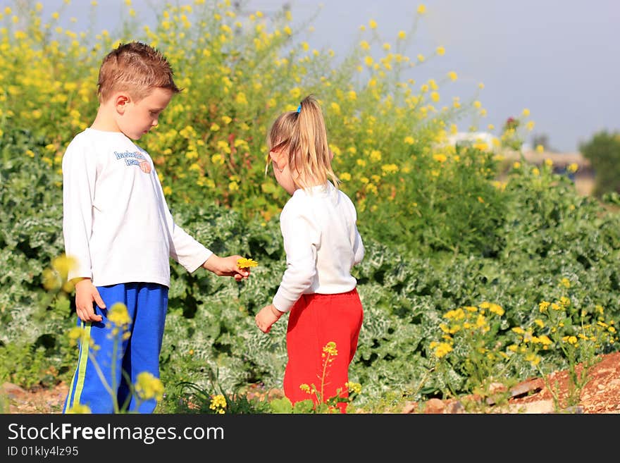 Liitle boy giving flower to girl. Liitle boy giving flower to girl