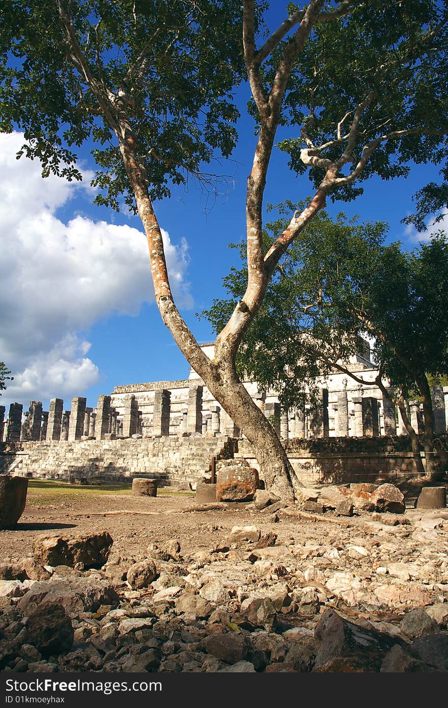 Temple of warriors, Chichen-Itza
maya culture. Temple of warriors, Chichen-Itza
maya culture