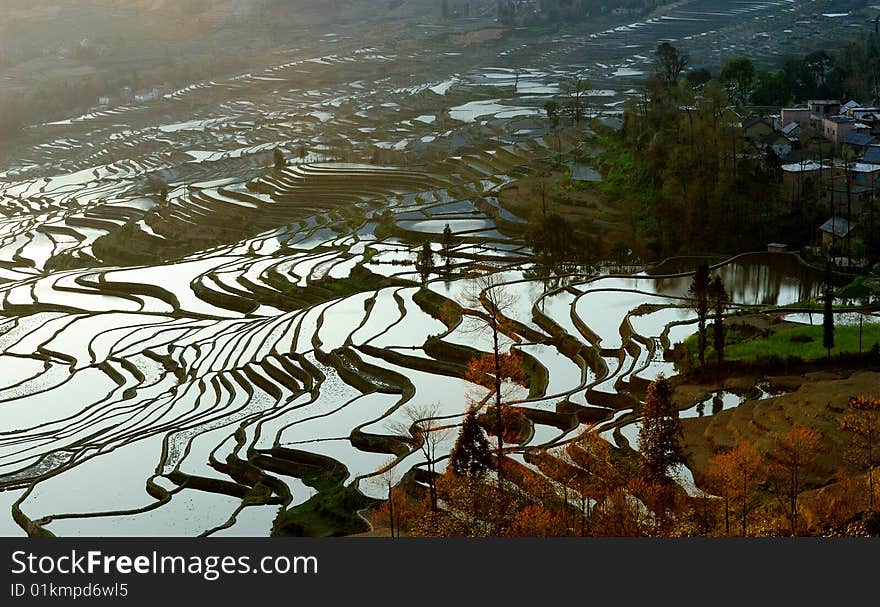 Yuanyang County is a county of YunNan province, China. It is home to the most spectacular terraced rice fields in the world. The fields have been cultivated by Hani minority people for centuries and constitute a unique self-sustaining ecosystem. The rice field can be found from 800m - 2000m above sea level, and farmers generally lives on top of the hill and go down every day for their far work. Yuanyang County is a county of YunNan province, China. It is home to the most spectacular terraced rice fields in the world. The fields have been cultivated by Hani minority people for centuries and constitute a unique self-sustaining ecosystem. The rice field can be found from 800m - 2000m above sea level, and farmers generally lives on top of the hill and go down every day for their far work.