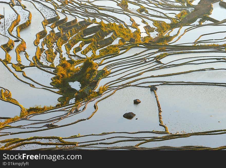 Morning of YuanYang Rice Terrace