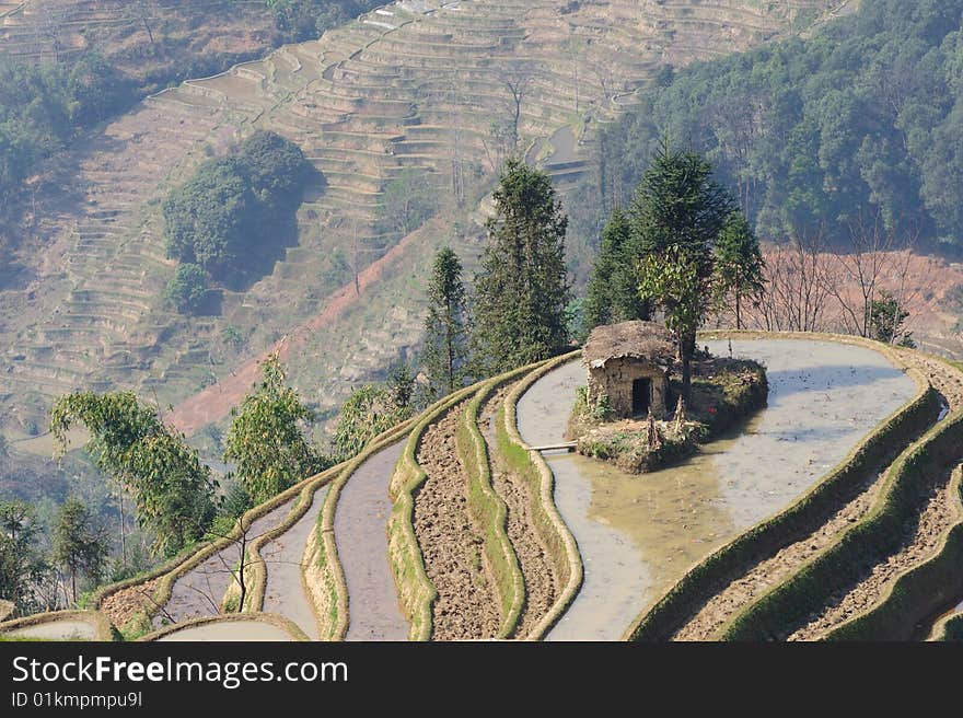 YuanYang Rice Terrace - The Sea Nail