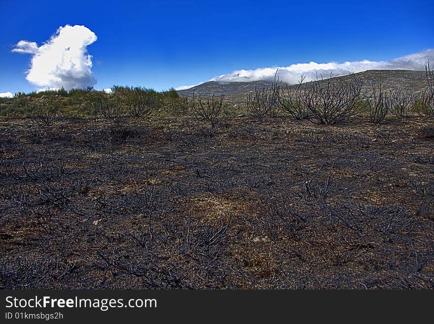 Mountain landscape burnt by the fire, nature. Mountain landscape burnt by the fire, nature