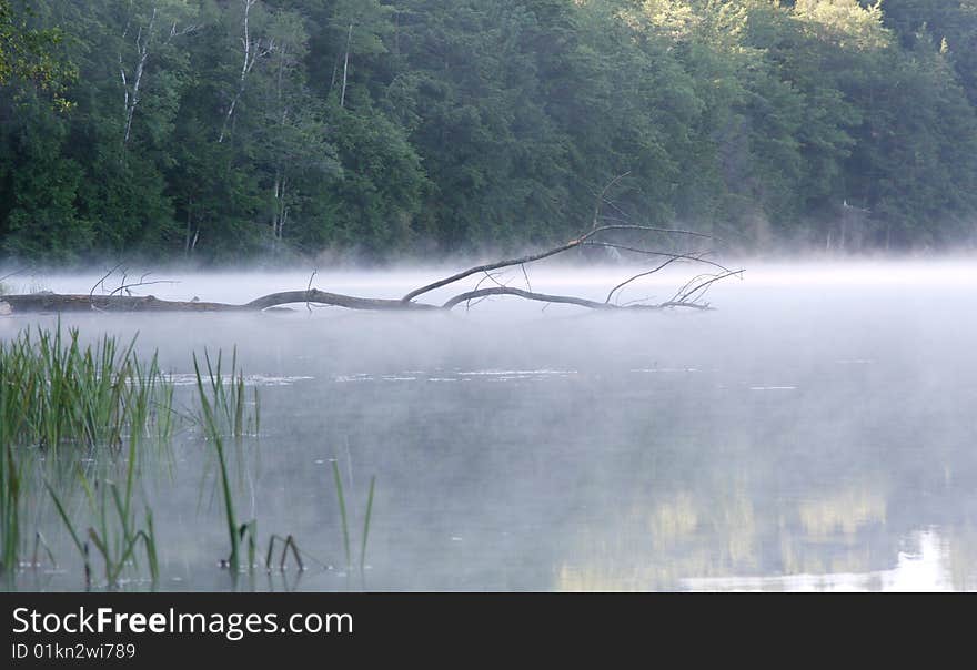 Morning Mist