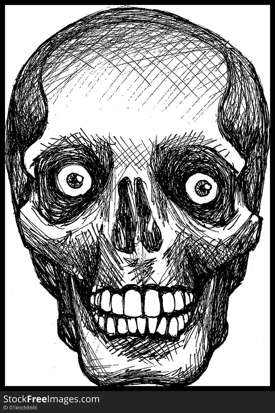 Pen drawing of skull anatomy with eyes. Pen drawing of skull anatomy with eyes