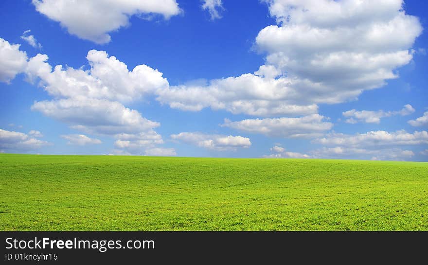 Field on a background of the blue sky