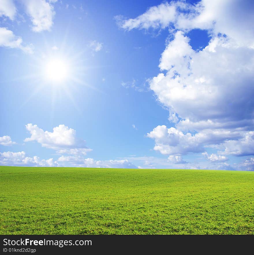 Field on a background of the blue sky