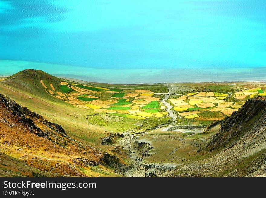 The Young Lake in Tibet, and the beautiful fields at the lakeside.