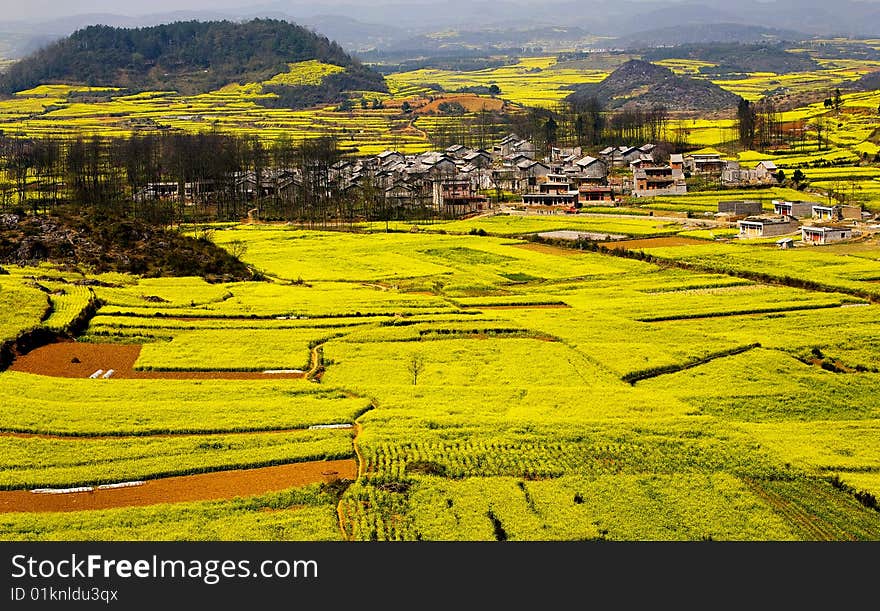 Rape Fields & Village