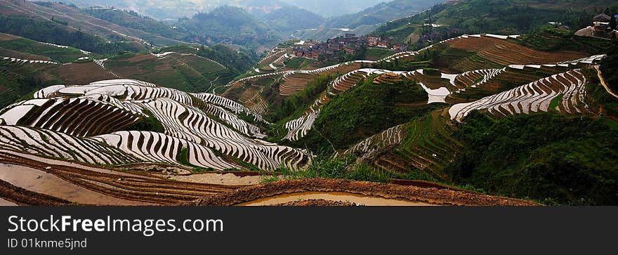 Guilin Terraced field