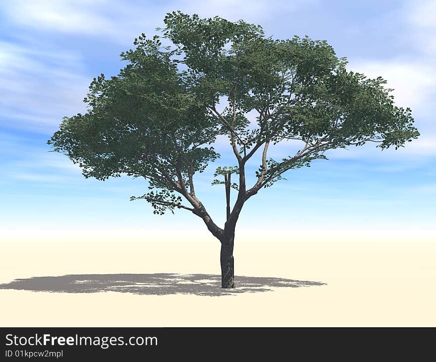 3D Illustration of a Cherry Tree under sun. Sun lights reflected on the trunk, branches and leaves.