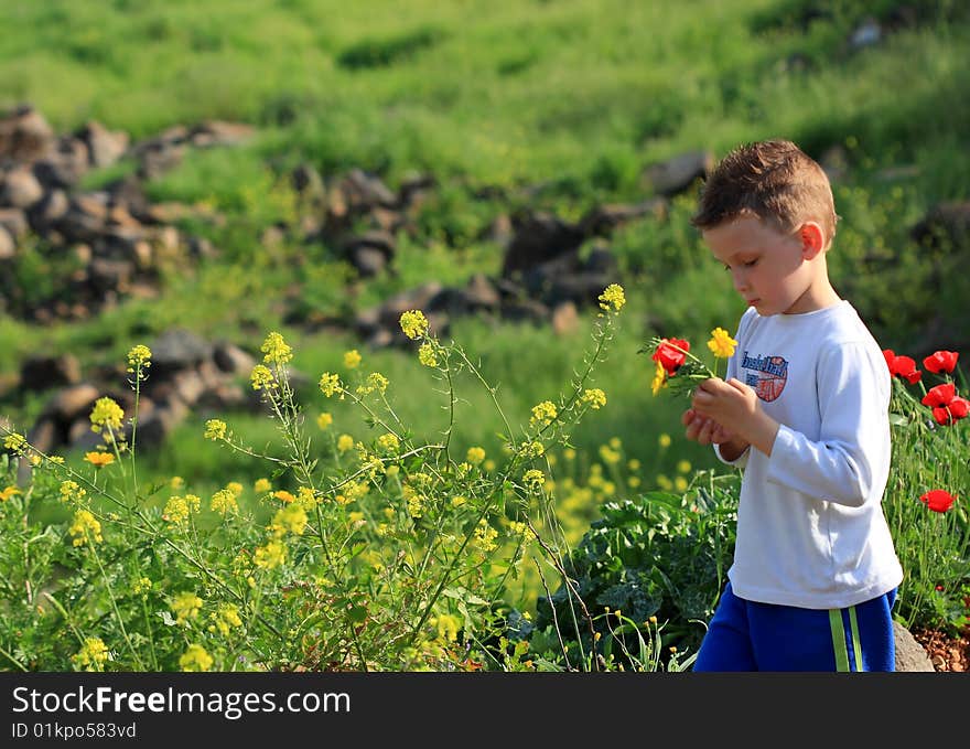 Little boy looking on the flower. Little boy looking on the flower