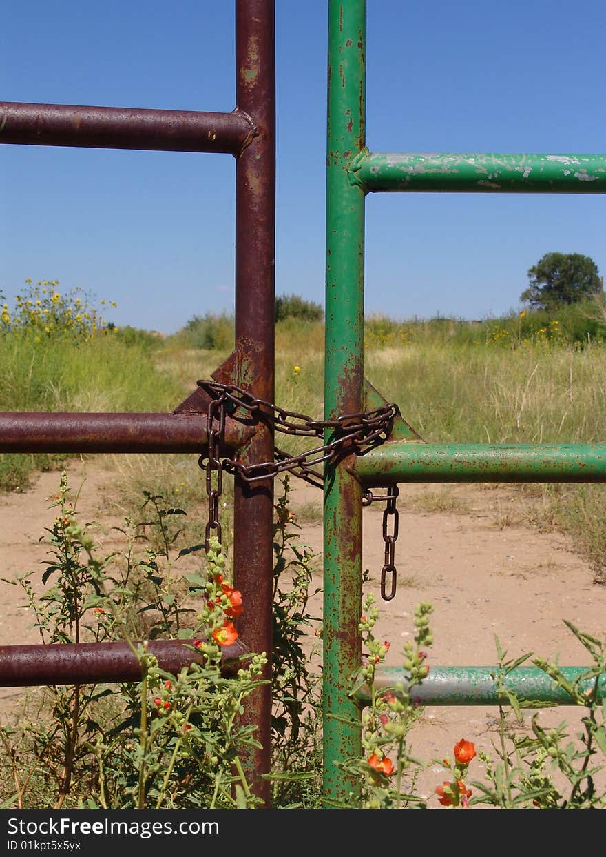 An old rusted gate with chain and lock. An old rusted gate with chain and lock