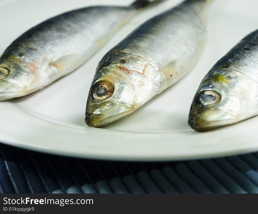 Close up sardine fish