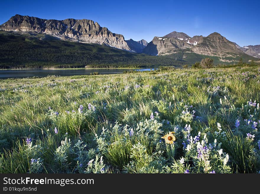 Morning in Rockies - Glacier National Park