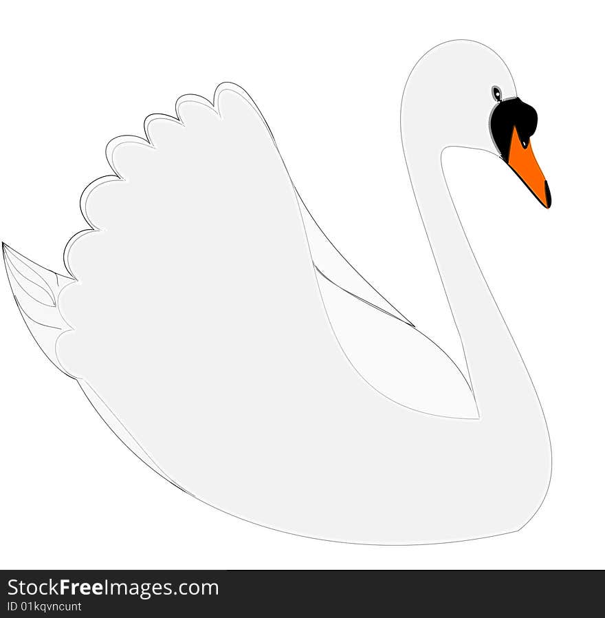 Swan