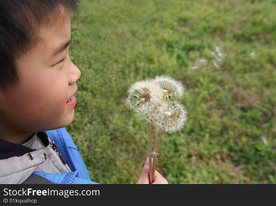 The boy  are watching floating dandelion