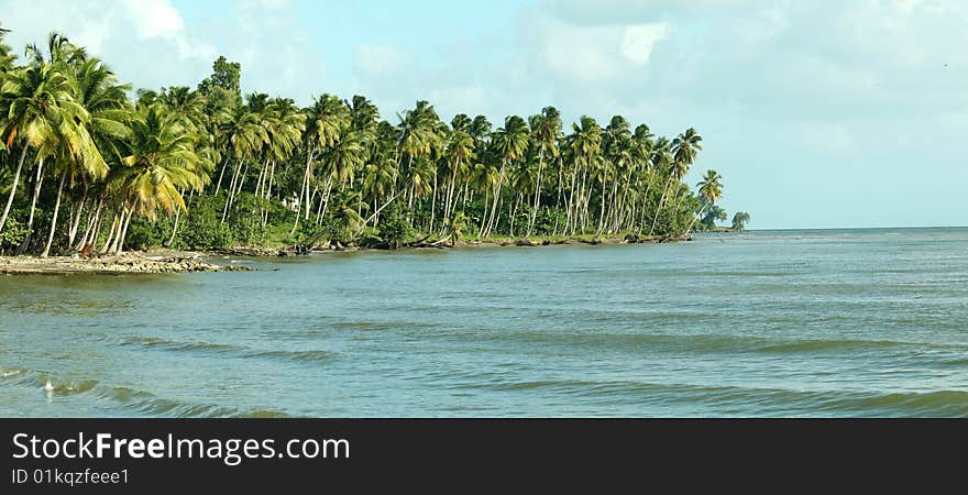 Beach in Caribbean