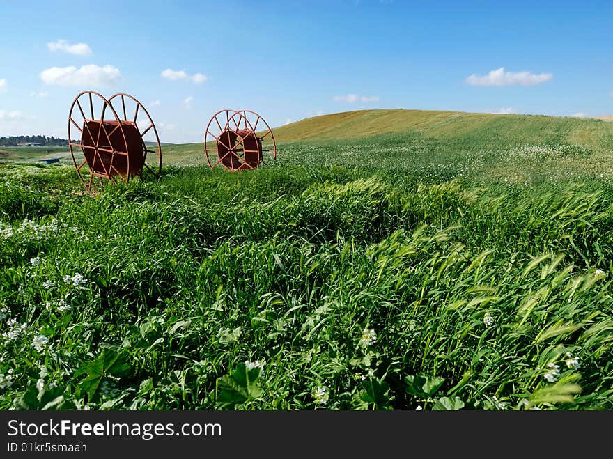 Green grass at agricultural farmland