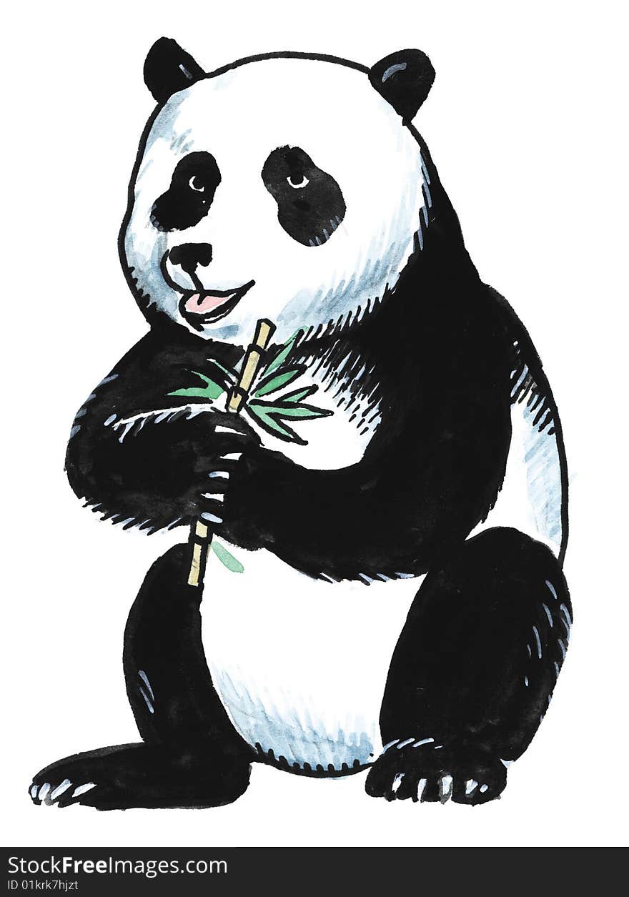 Panda Bear