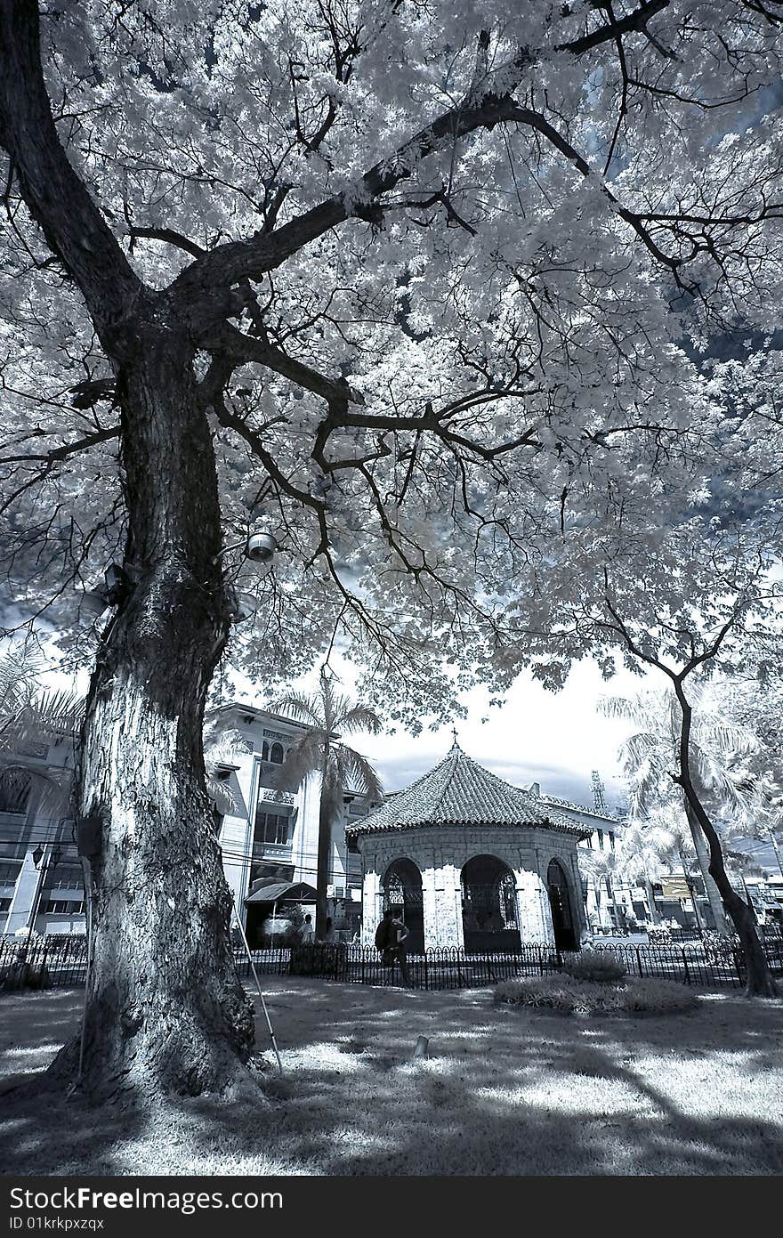 An infrared image taken near the site of Magellan's Cross, Cebu City, Philippines.