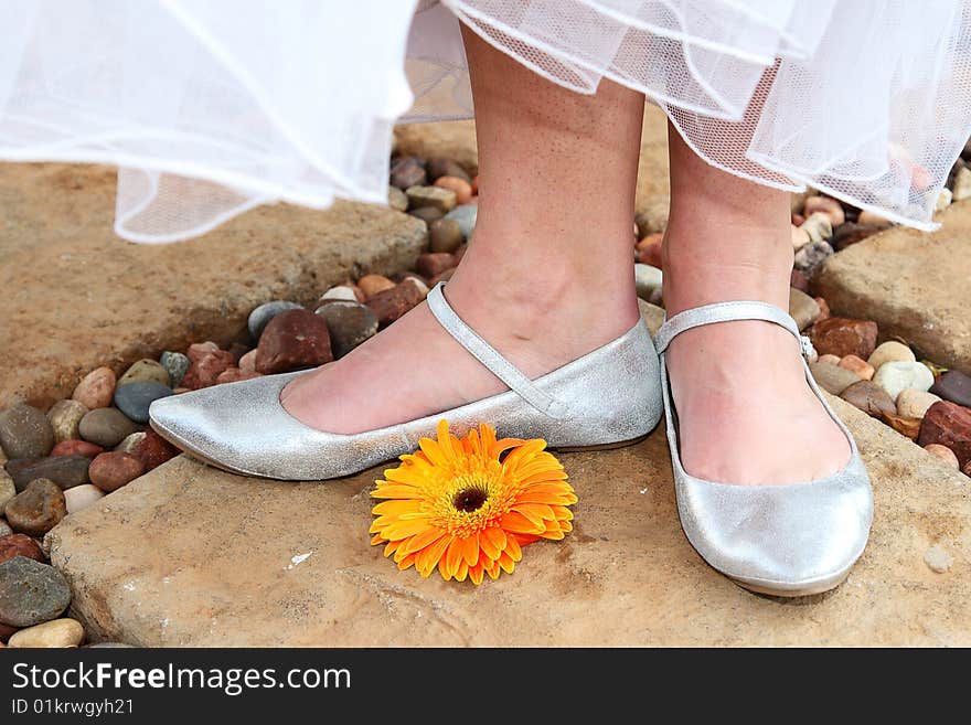 Bridal Shoes