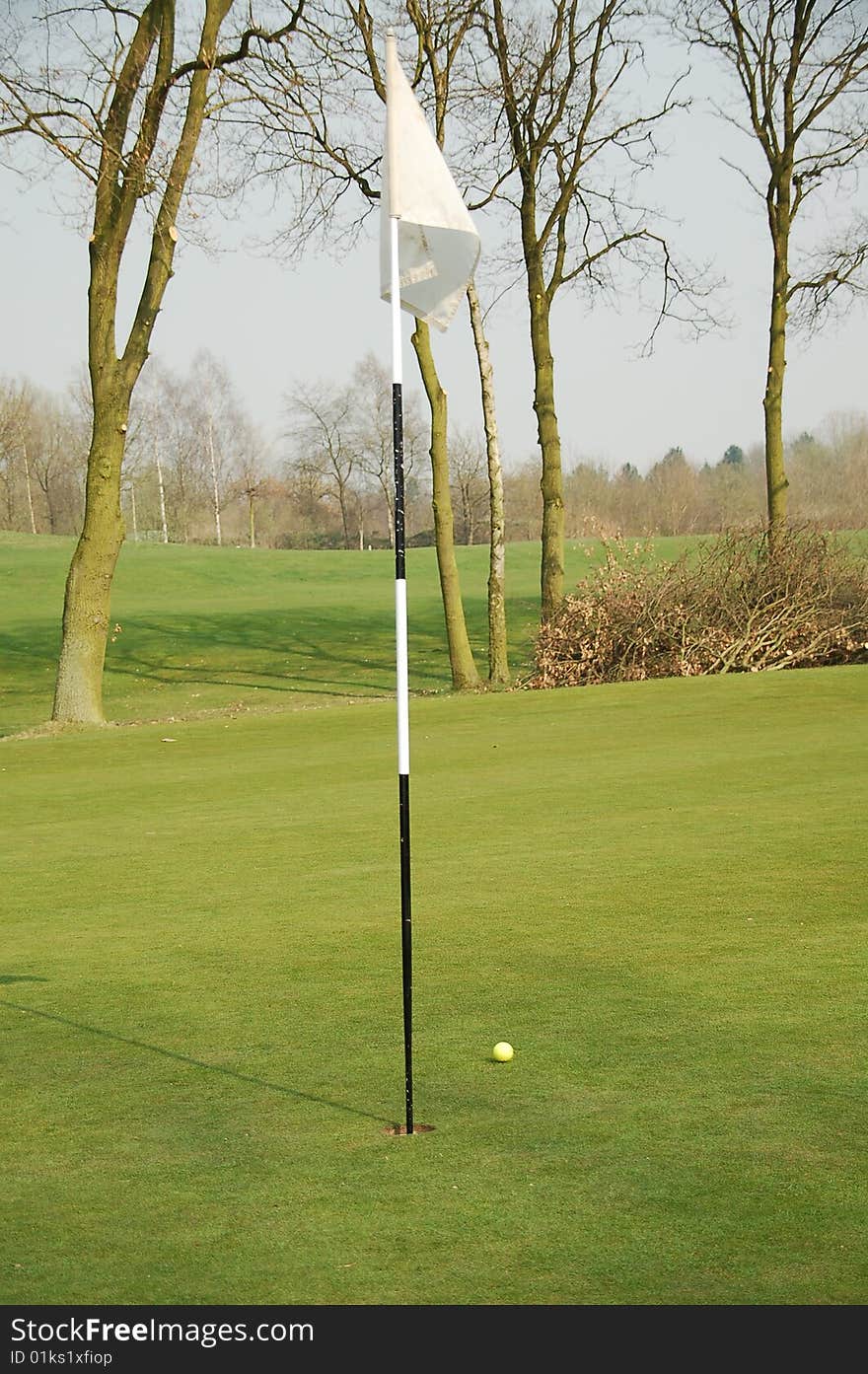 White putting flag on the green