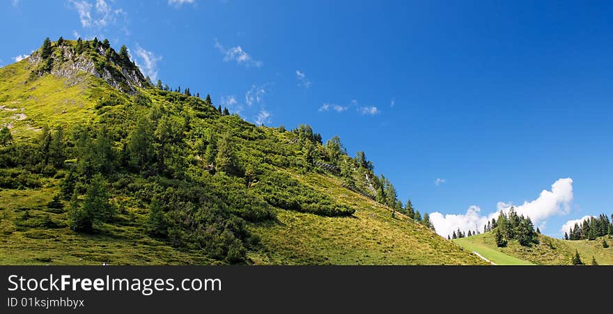 Lush green hill in bright summer day in Alps