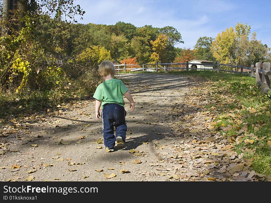 Child walking a path in Autumn. Child walking a path in Autumn