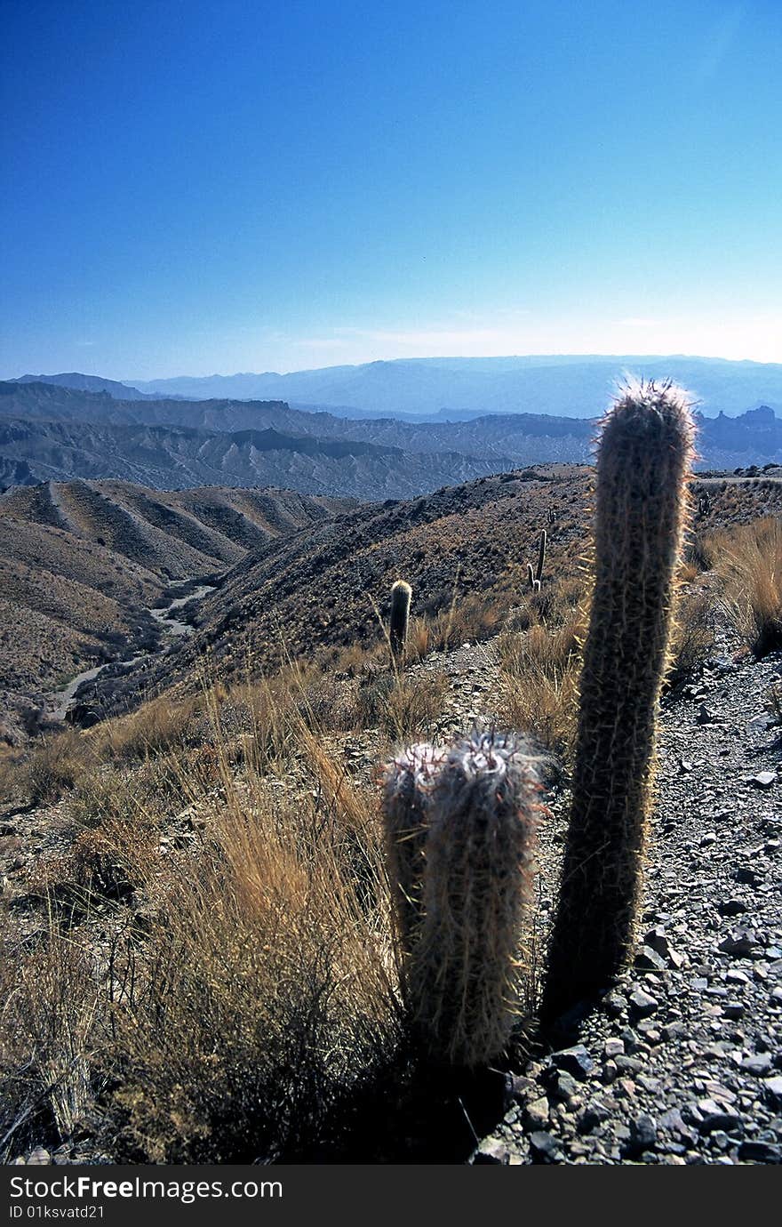 Landscape in Bolivia,Bolivia