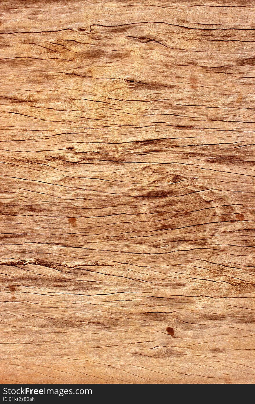 Abstract  Wood Texture for background