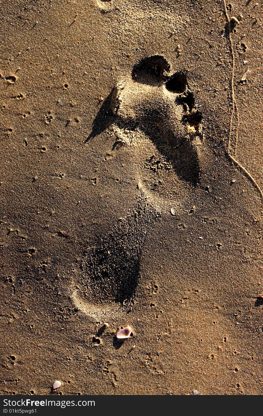 Trace of a foot of the person on sea sand. Trace of a foot of the person on sea sand