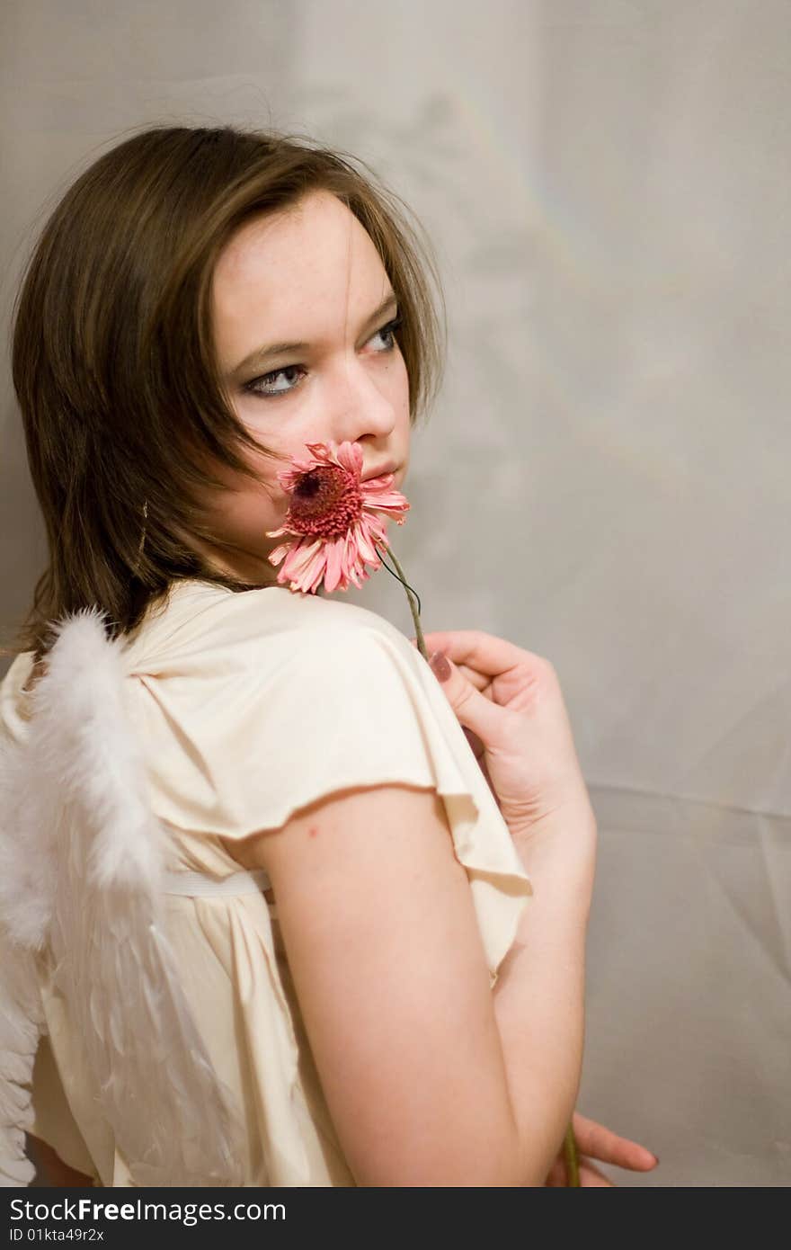 Girl with one pink Gerber and white wings behind their backs. Girl with one pink Gerber and white wings behind their backs