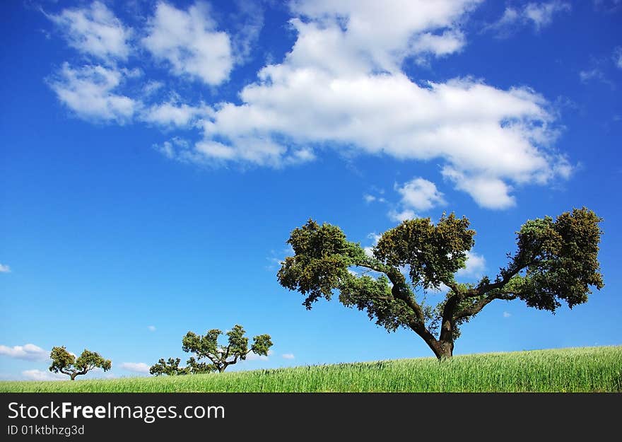 Landscape of alentejo region, Portugal. Landscape of alentejo region, Portugal.