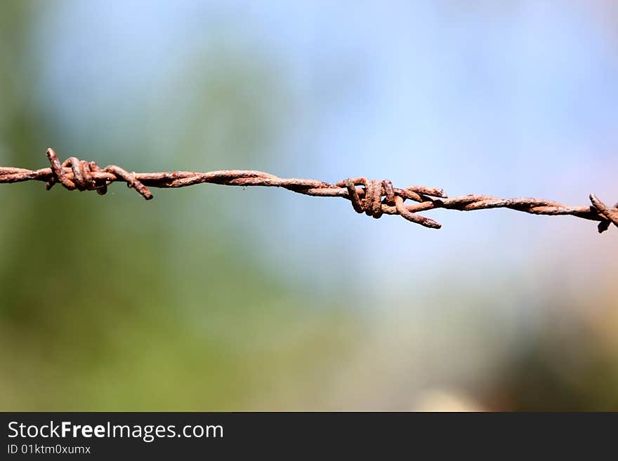 Image of barbwire sections with sharp thorns