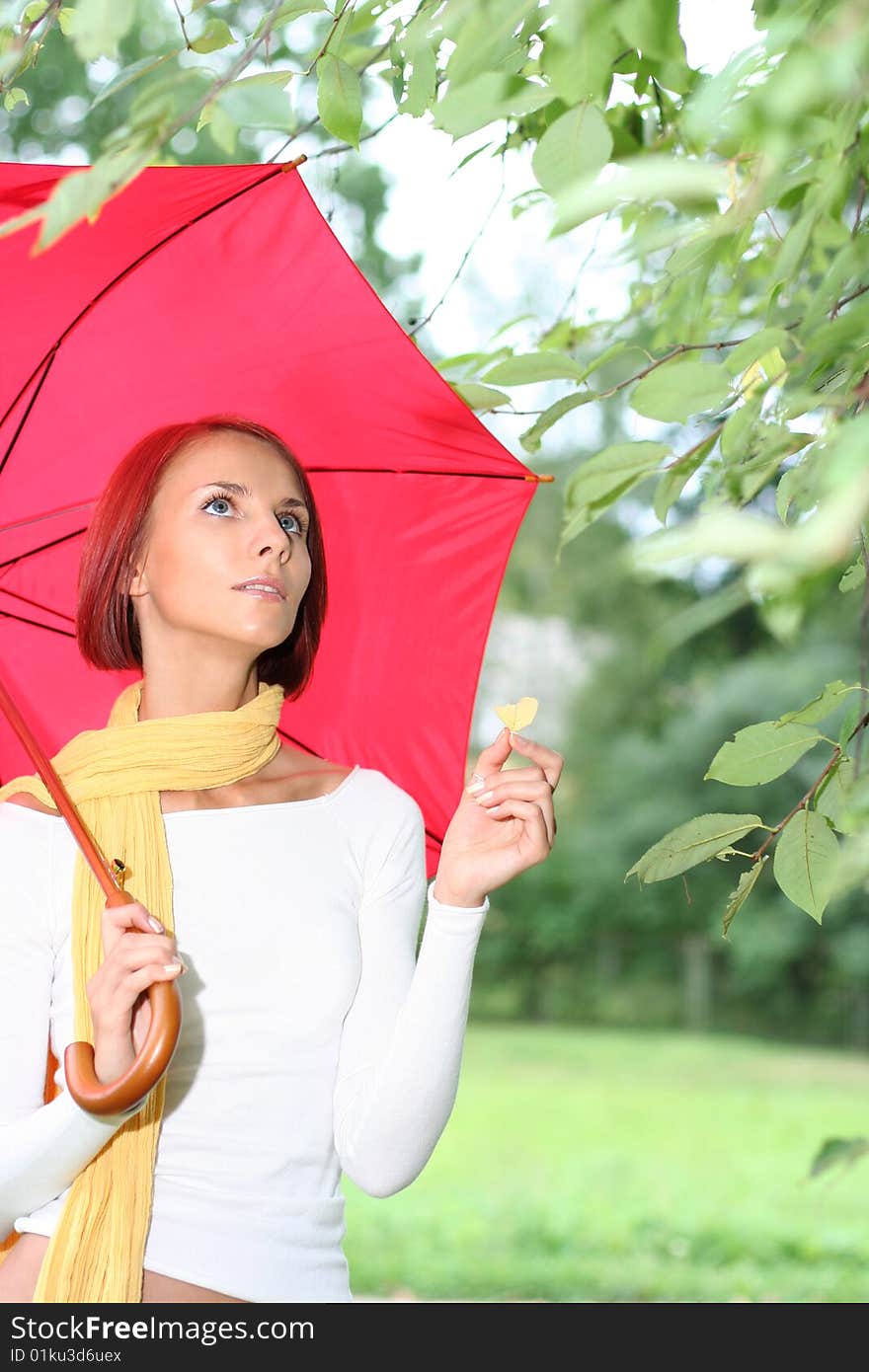 Beautiful young girl under yellow umbrella in the autumn park. Beautiful young girl under yellow umbrella in the autumn park