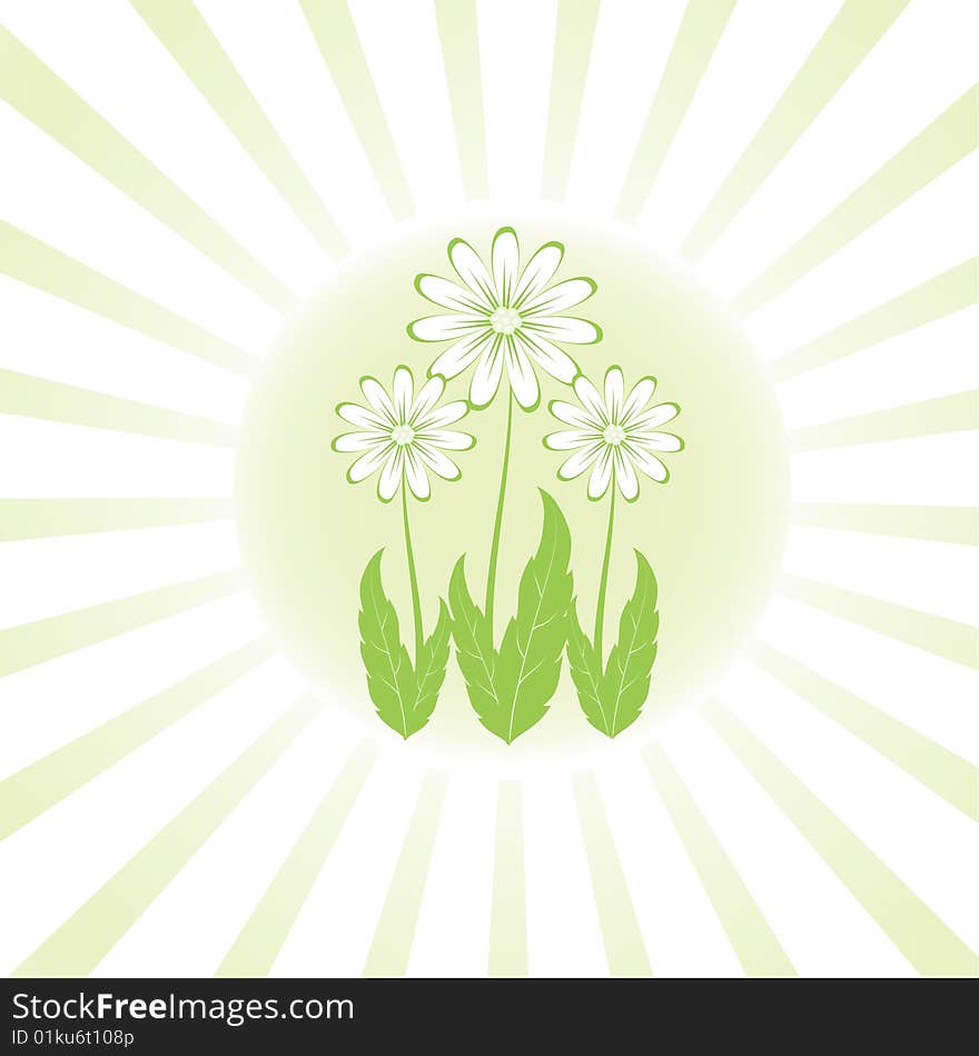 Abstract Floral Background