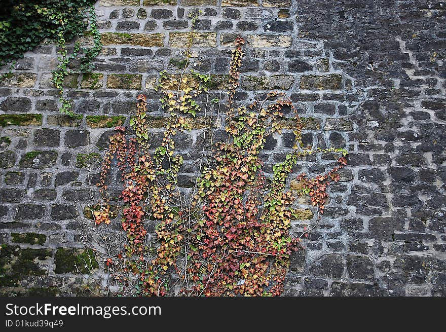 Closeup of a fortification with a twisted grass