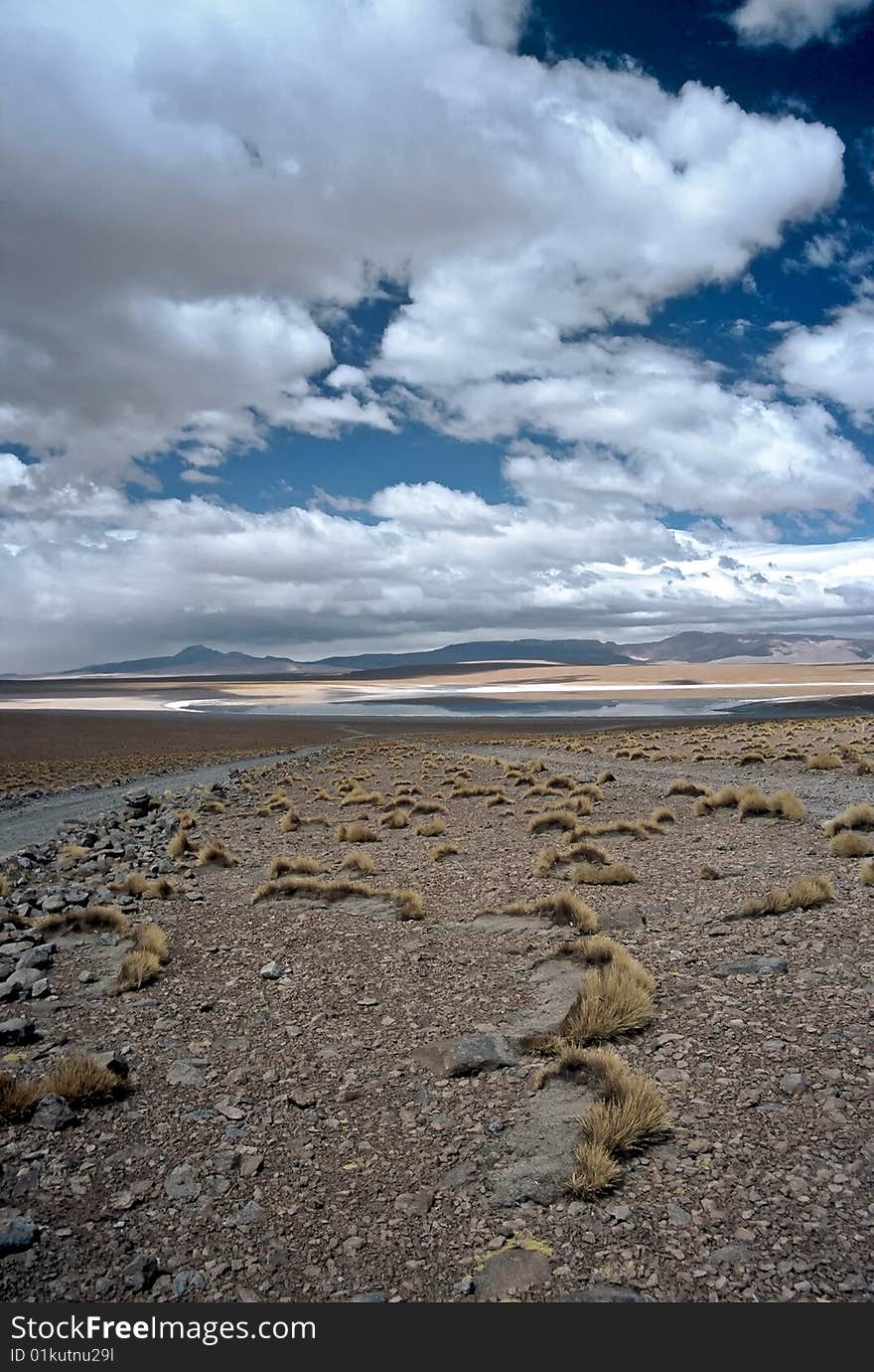 Wide Landscape in Bolivia,Bolivia