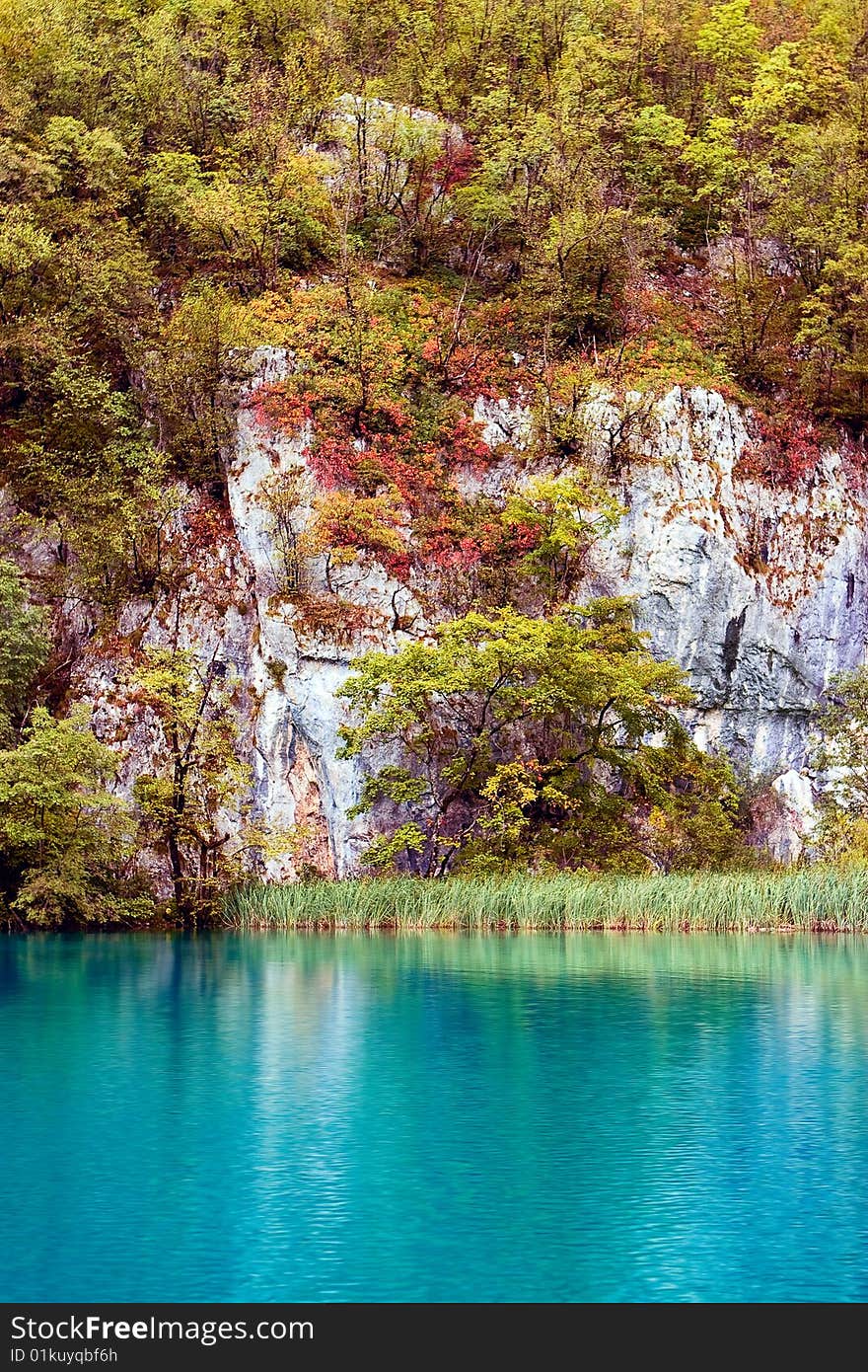 Autumn forest, rock and lake. Autumn forest, rock and lake