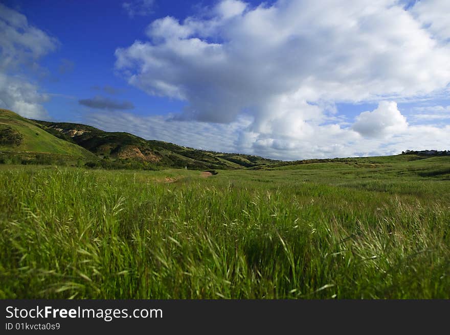 Mountain meadow with clouds in the background