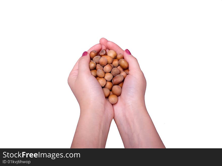 Female hands from handfuls of wood nuts