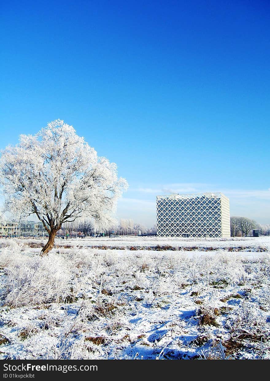 Winter view of the campus of Wageningen University. Winter view of the campus of Wageningen University